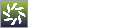 Globalyzer Express Logo